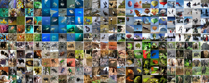 Image Classification using Deep Learning